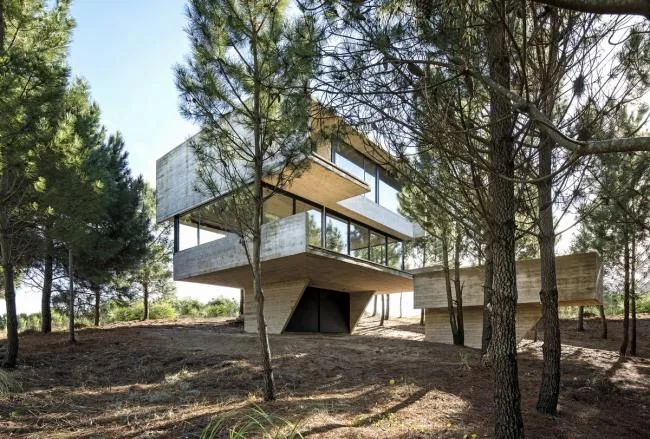 BIM建筑|光影婆娑，如木石般朴实的林间住宅 / Luciano Kruk