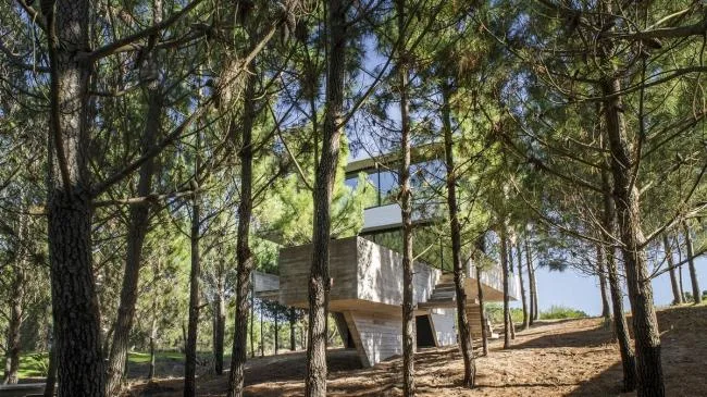 BIM建筑|光影婆娑，如木石般朴实的林间住宅 / Luciano Kruk
