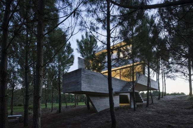 BIM建筑|光影婆娑，如木石般朴实的林间住宅 / Luciano Kruk