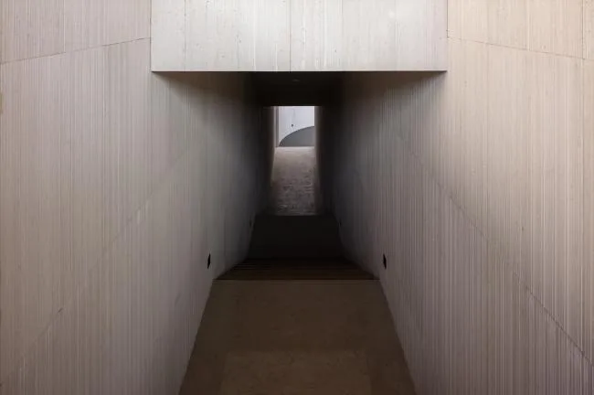 BIM建筑|湖泊下阅读，树影行过的时间 / 水相设计