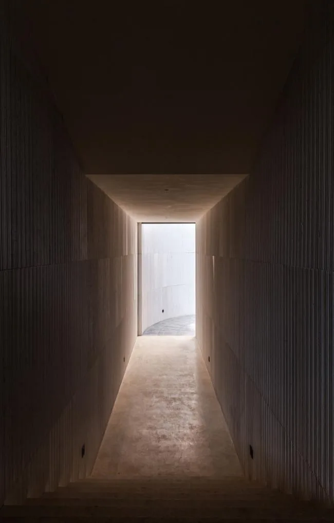BIM建筑|湖泊下阅读，树影行过的时间 / 水相设计