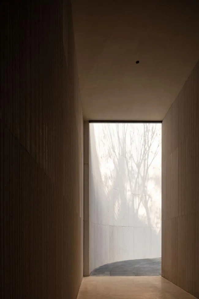 BIM建筑|湖泊下阅读，树影行过的时间 / 水相设计