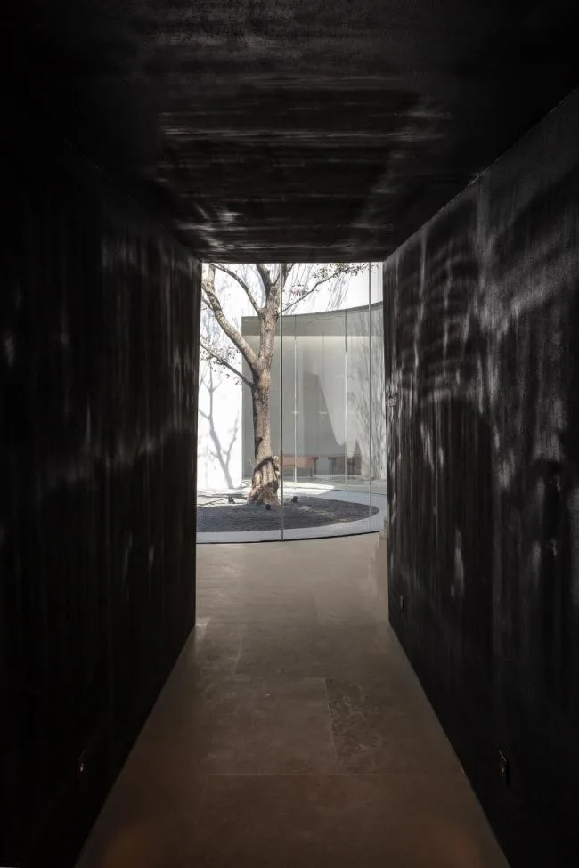 BIM建筑|湖泊下阅读，树影行过的时间 / 水相设计