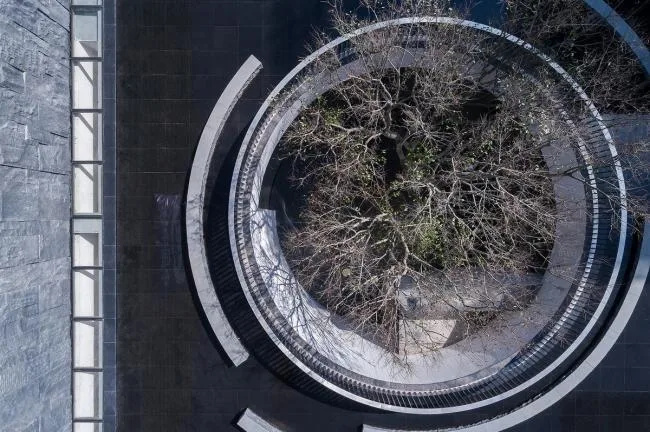 BIM建筑|湖泊下阅读，树影行过的时间 / 水相设计