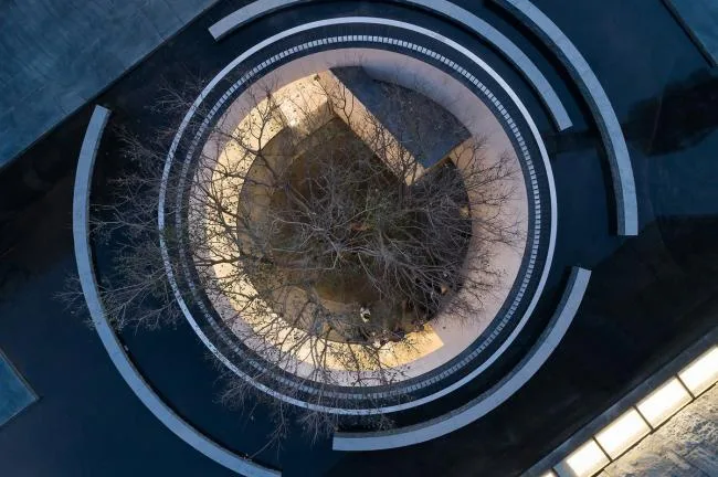 BIM建筑|湖泊下阅读，树影行过的时间 / 水相设计
