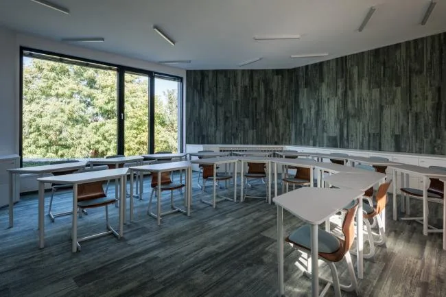 BIM建筑|植入森林——德布勒森国际学校 / BORD建筑工作室
