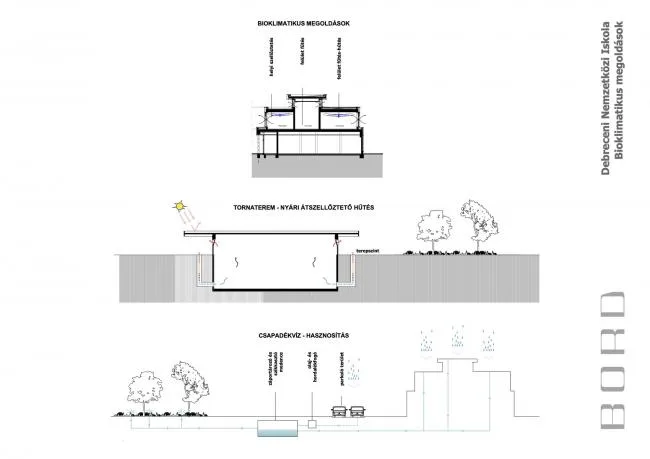 BIM建筑|植入森林——德布勒森国际学校 / BORD建筑工作室