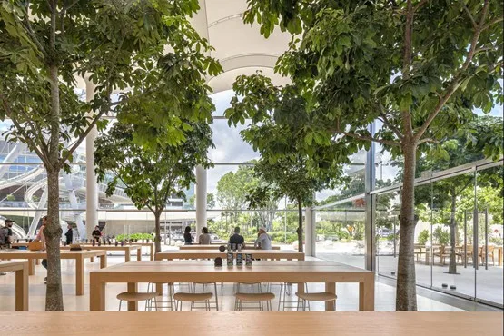 BIM建筑|福斯特公布迈阿密最新苹果商店
