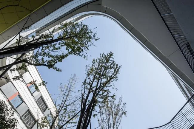 BIM建筑|漂浮的立体校园——浙江大学教育学院附属中学 / 浙江大学建筑设计研究院有限公司