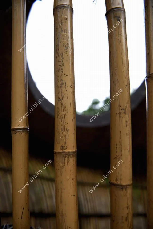BIM建筑|似轻柔的山风拂过：武隆归原小镇茶亭 / 纬图设计机构