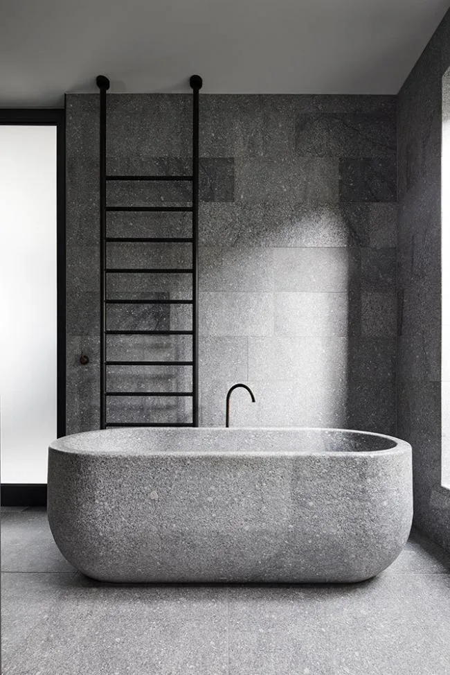 BIM建筑|空灵而轻盈：阿马代尔之家 / B.E Architecture