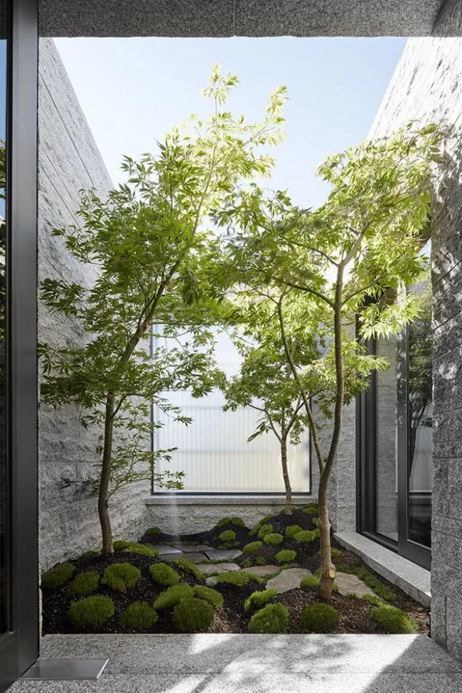 BIM建筑|空灵而轻盈：阿马代尔之家 / B.E Architecture