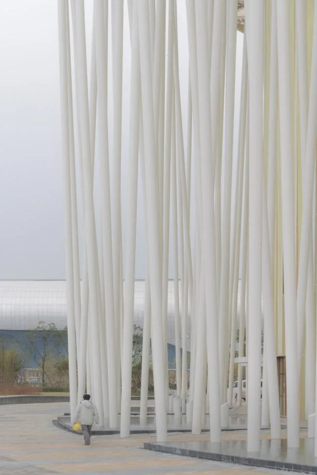BIM建筑|“竹林”漫步：无锡太湖剧院 / SCA | Steven Chilton Architects