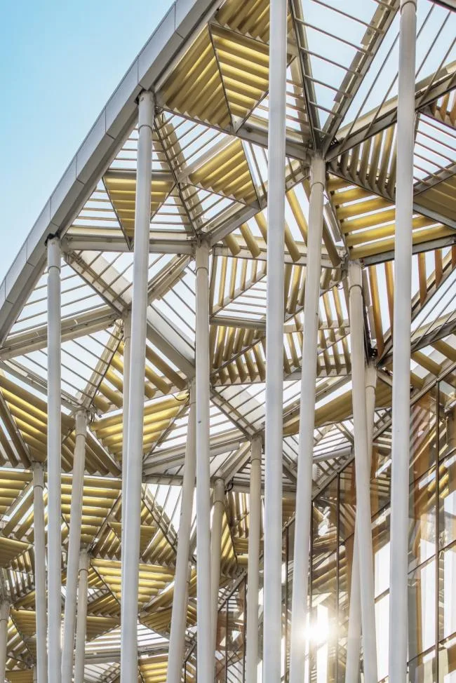 BIM建筑|“竹林”漫步：无锡太湖剧院 / SCA | Steven Chilton Architects