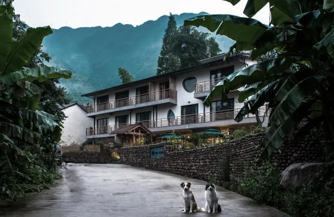 BIM建筑|安吉山川乡居 / 上海善祥建筑设计有限公司