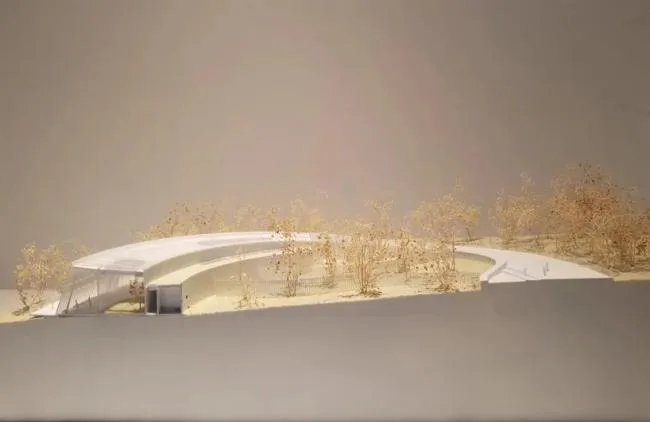 BIM建筑|成都大熊猫国际研究与繁育中心熊猫馆方案 / EID建筑事务所