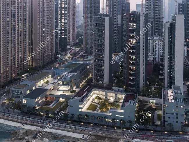 BIM建筑|深圳南山外国语学校科华学校 / Link-Arc建筑师事务所