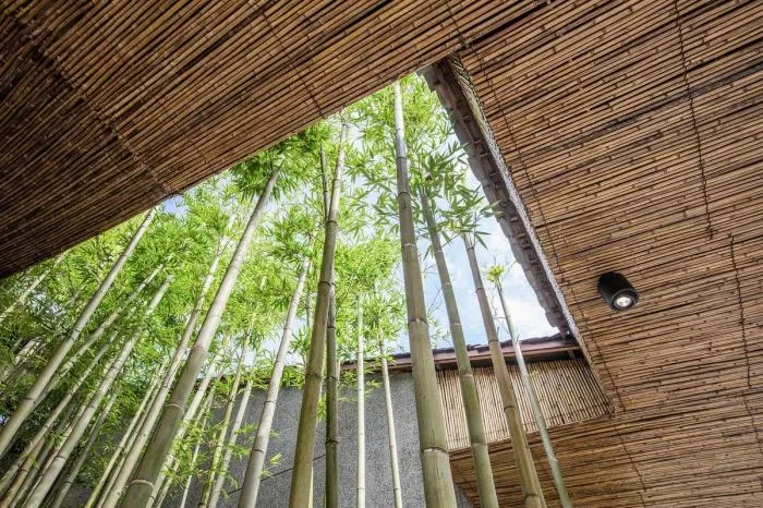 BIM建筑|“同在屋檐下”：小石村文化大院 / 时地建筑工作室
