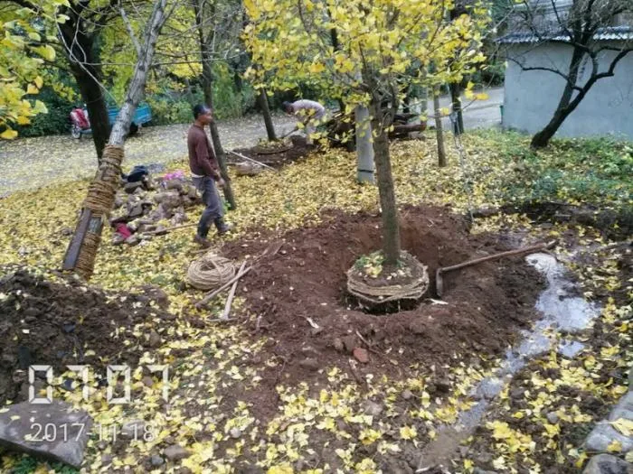 BIM建筑|安生斋居：一个家族的乡土记忆 / 予舍予筑