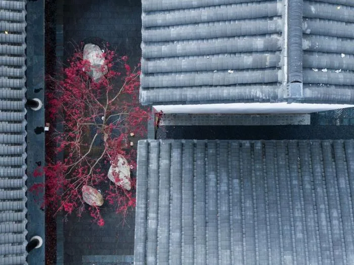 BIM建筑|安生斋居：一个家族的乡土记忆 / 予舍予筑