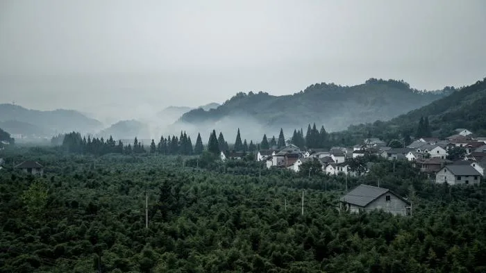 BIM建筑|远眺山麓炊烟人家——杭州偶寄精品民宿酒店 / 是合设计工作室