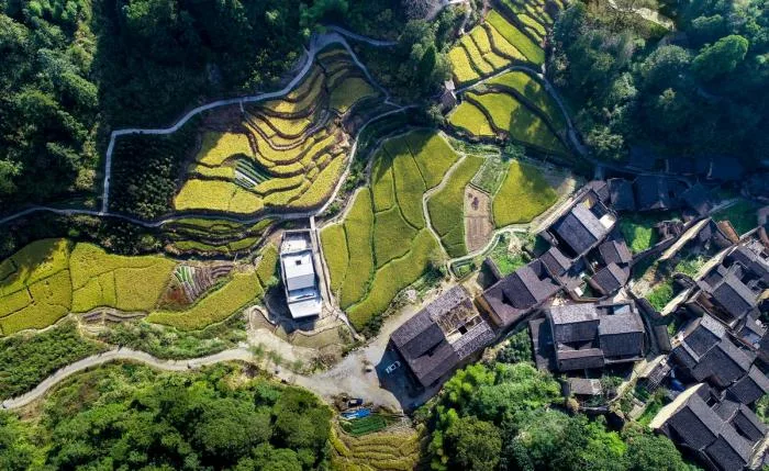 BIM建筑|2019年度最美书店——先锋厦地水田书店 / 迹·建筑事务所（TAO）