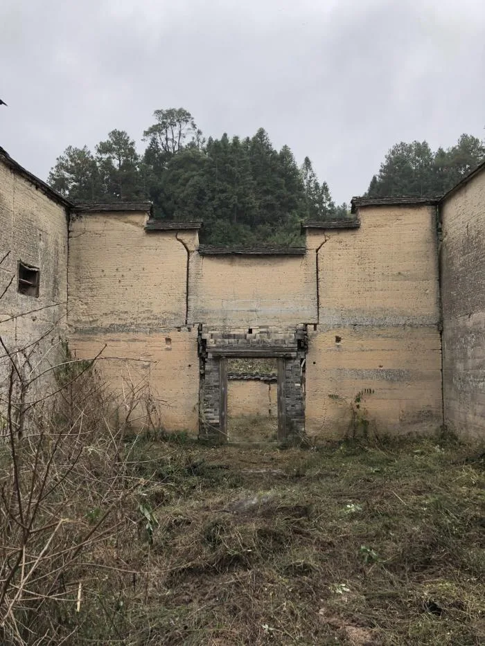 BIM建筑|2019年度最美书店——先锋厦地水田书店 / 迹·建筑事务所（TAO）