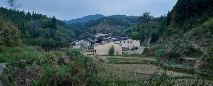 BIM建筑|2019年度最美书店——先锋厦地水田书店 / 迹·建筑事务所（TAO）