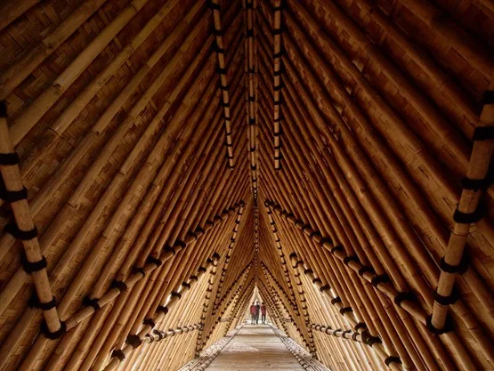 BIM建筑|印尼建造锯齿形茅草屋顶学校