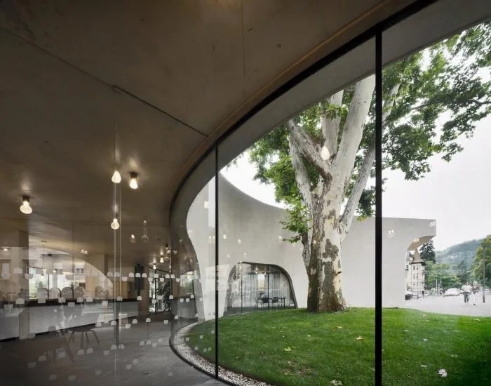 BIM建筑|融合古典，调皮地飞动——环抱老树的游客中心 / MoDusArchitects