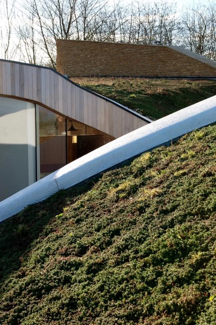BIM建筑|乡村风景里的双人舞：英国景天草住宅 / Featherstone Young