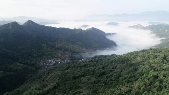 BIM建筑|拾云山房，浙江 / 尌林建筑设计事务所