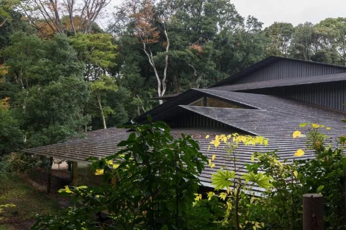 BIM建筑|如飘零落叶，消隐于森林中：日本明治神宫博物馆 / 隈研吾建筑都市设计事务所