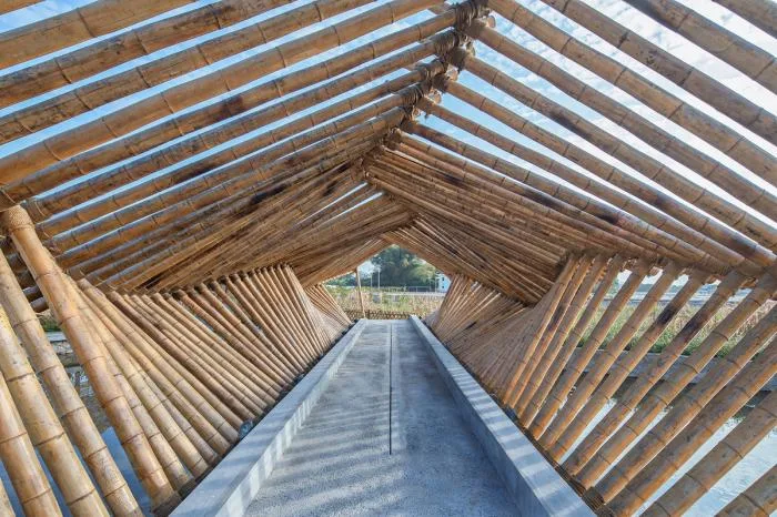 BIM建筑|乡村客厅营造——蕉岭棚屋 / 造作建筑工作室