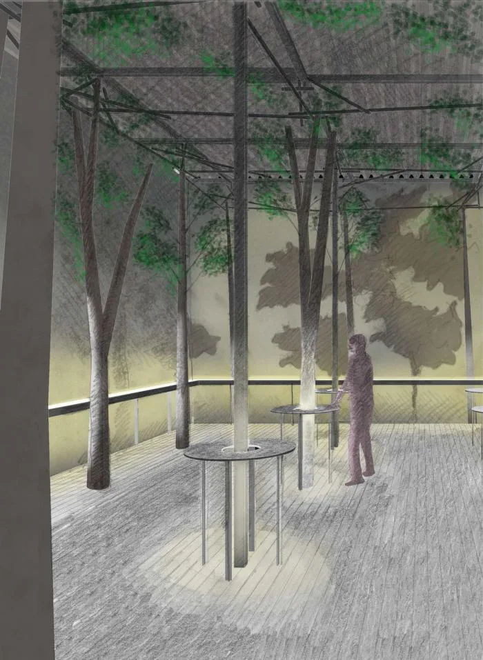 BIM建筑|槙文彦前泽住宅花园“露天剧场+白花亭” / APL design workshop