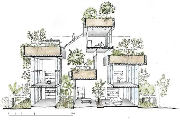 BIM建筑|城市“树屋”，越南Binh住宅 / 武重义建筑事务所