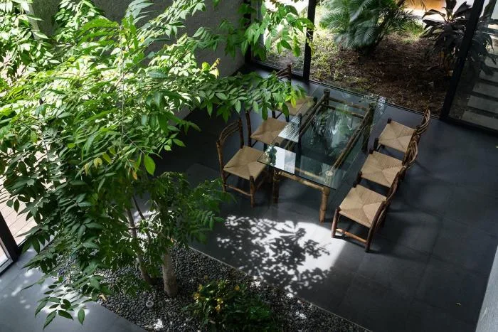 BIM建筑|城市“树屋”，越南Binh住宅 / 武重义建筑事务所