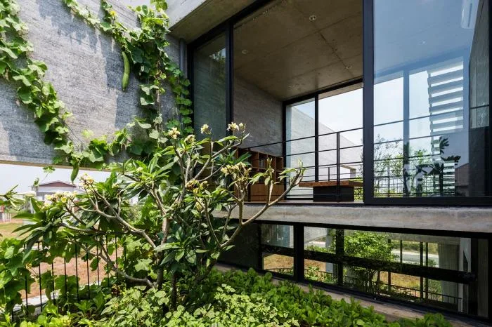 BIM建筑|城市“树屋”，越南Binh住宅 / 武重义建筑事务所