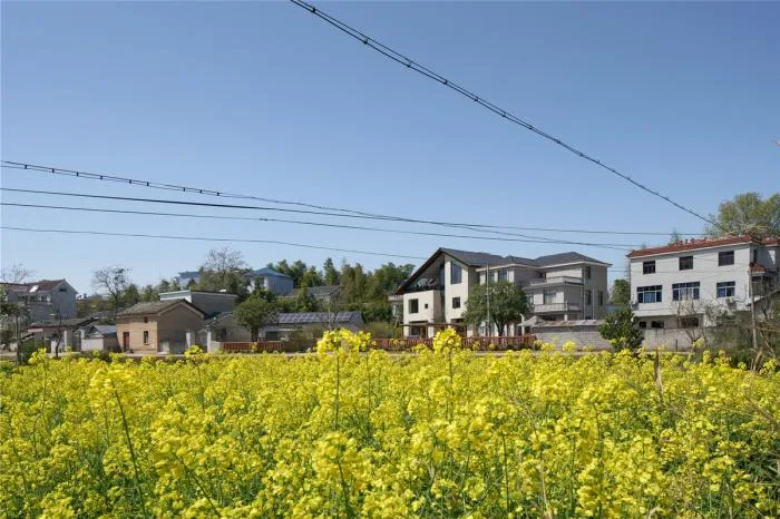 BIM建筑|乡居倒影——龙游后山头28号宅 / 中国美术学院风景建筑设计研究总院