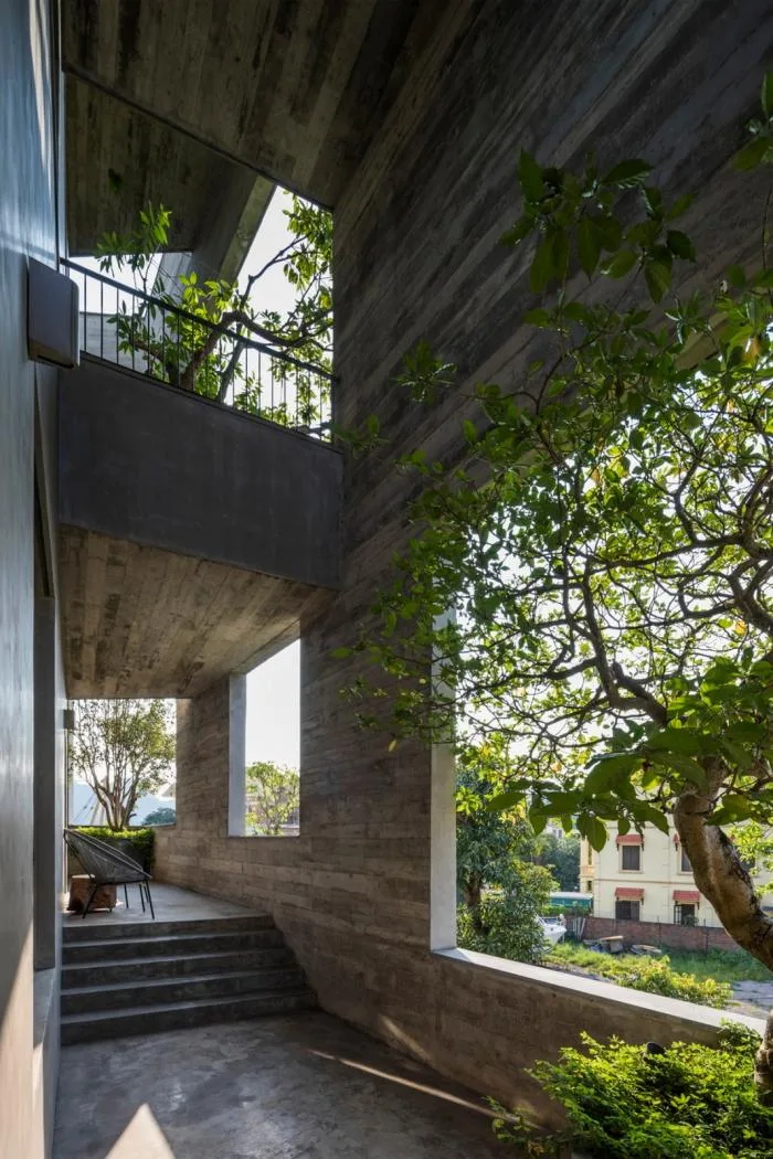 BIM建筑|居于丛林之间：越南“五角平面”树屋 / 武重义建筑事务所