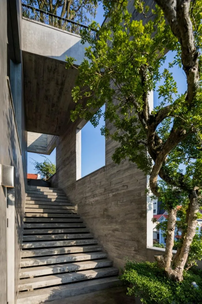 BIM建筑|居于丛林之间：越南“五角平面”树屋 / 武重义建筑事务所