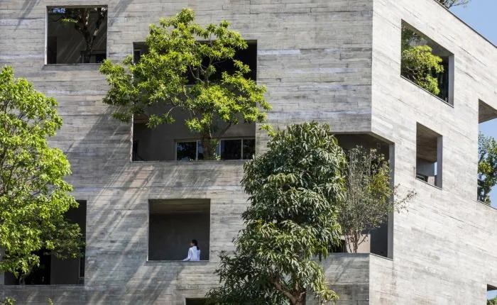BIM建筑|居于丛林之间：越南“五角平面”树屋 / 武重义建筑事务所