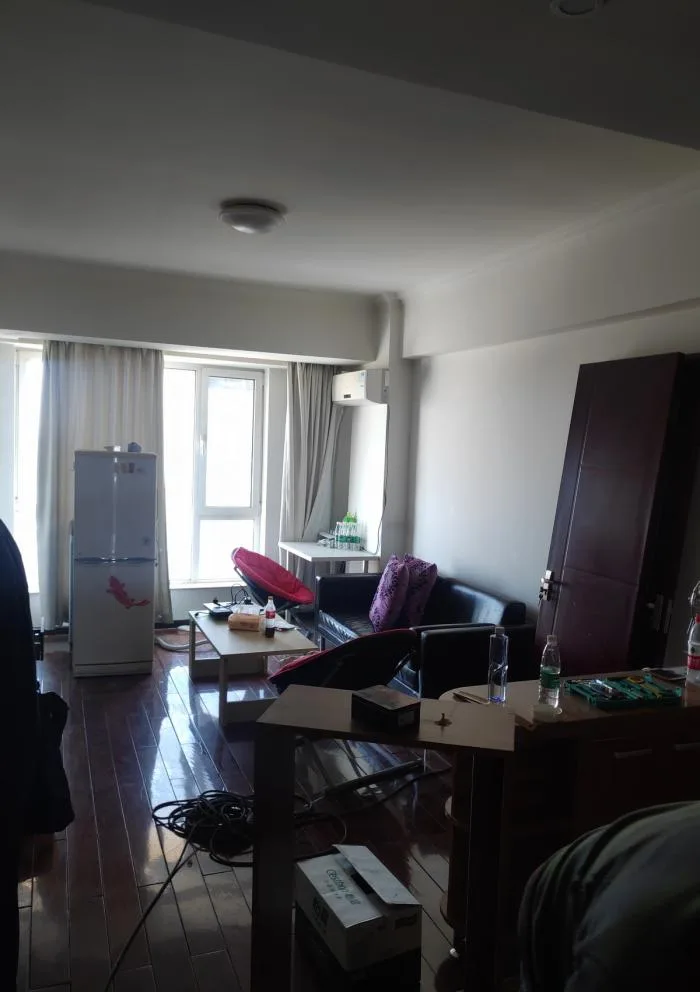 BIM建筑|46㎡北京旧房改造，90后单身女孩极简空间 / 无名创想联盟