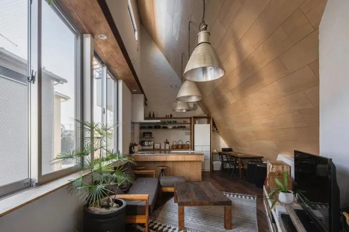 BIM建筑|陡坡屋顶和对角线展墙的三维构图：日本8.5住宅 / DOG