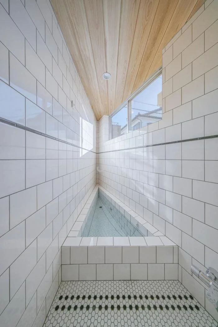 BIM建筑|陡坡屋顶和对角线展墙的三维构图：日本8.5住宅 / DOG