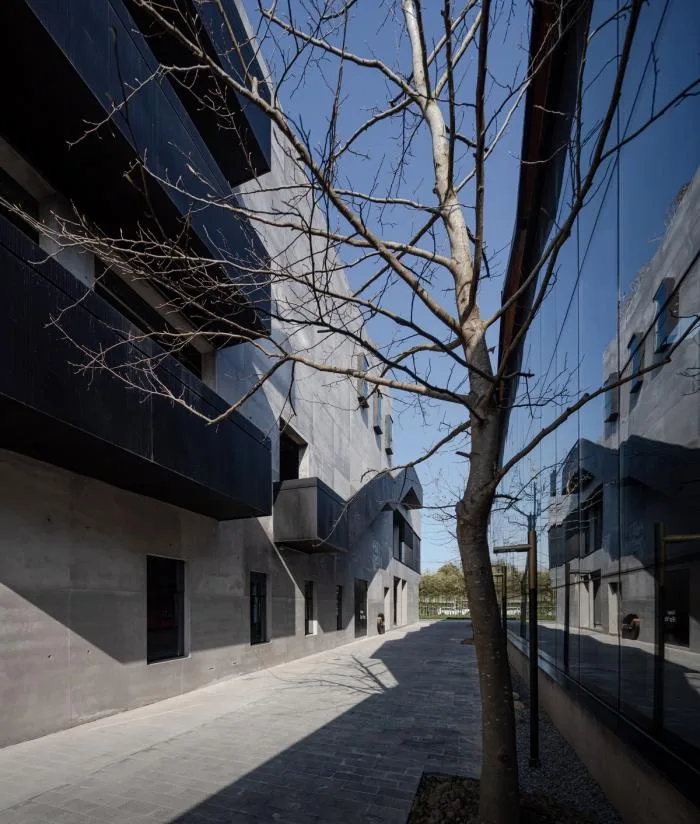 BIM建筑|光影舞动，野蛮生长——FOR天物空间 / 本哲建筑