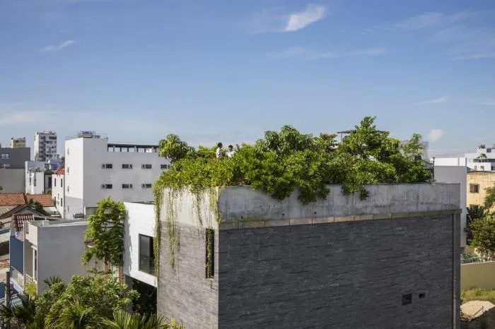 BIM建筑|错落的盒子，可呼吸的“绿色之肺”：岘港住宅 / 武重义建筑事务所