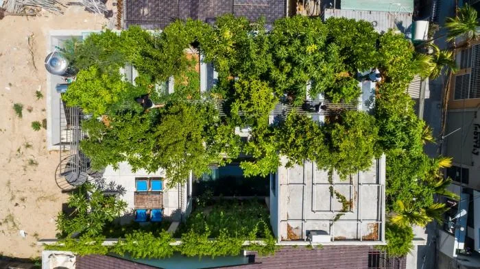 BIM建筑|错落的盒子，可呼吸的“绿色之肺”：岘港住宅 / 武重义建筑事务所