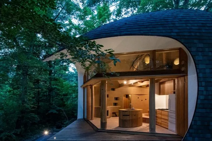 BIM建筑|可爱俏皮，森林中的壳型土屋
