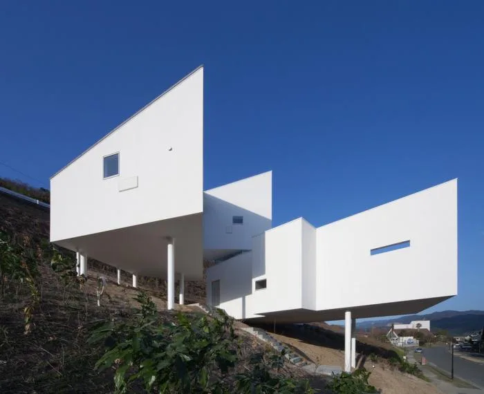 BIM建筑|斜坡上的住宅：8008